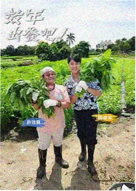 歌手 综艺 在线观看
